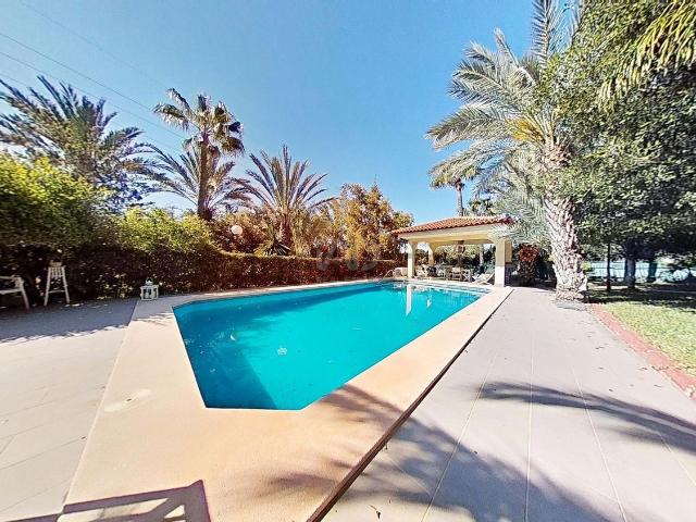 Chalet, Elche / Elx