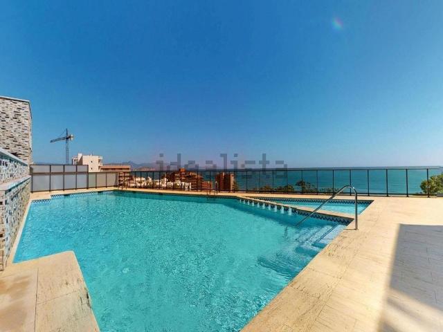 Chalet, Elche / Elx