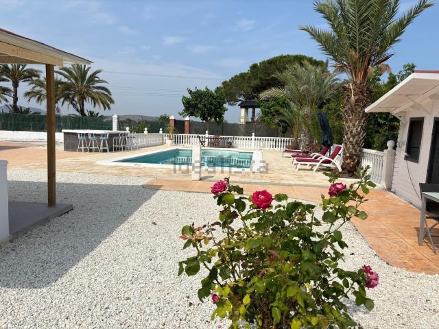 Chalet, Elche / Elx