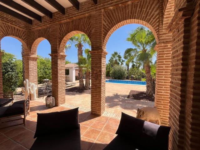 Chalet, Elche / Elx