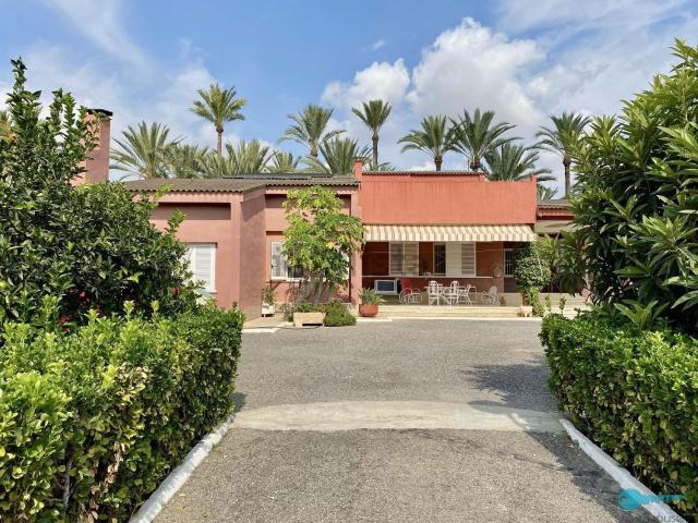 Chalet, Elche / Elx