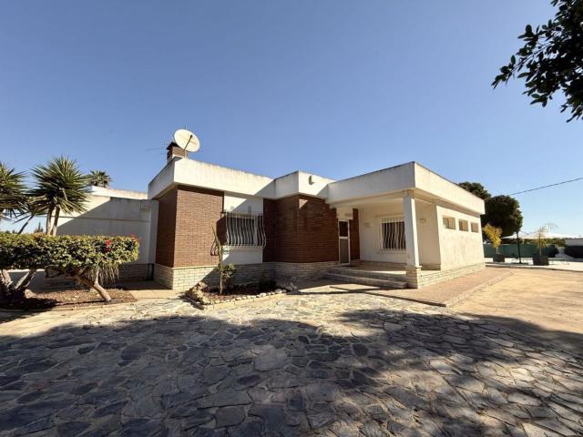 Chalet, Elche / Elx