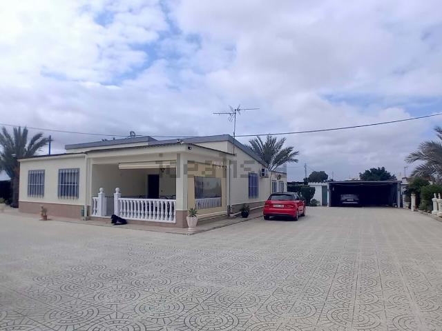 Chalet, Elche / Elx