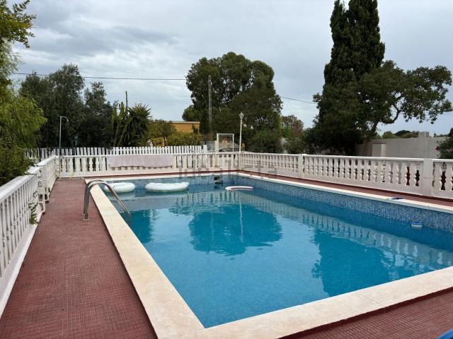 Chalet, Elche / Elx