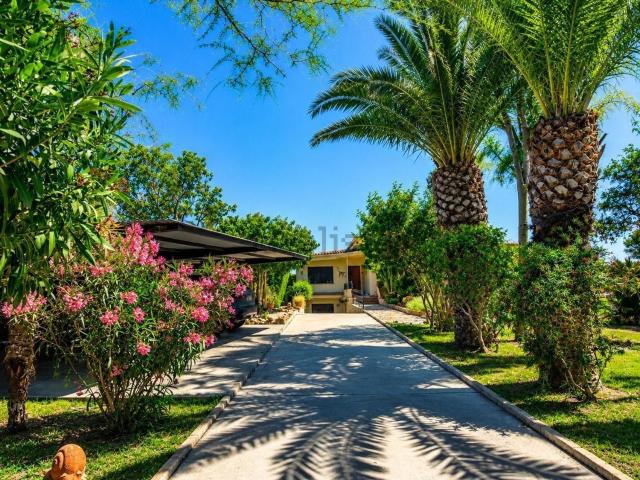 Chalet, Elche / Elx