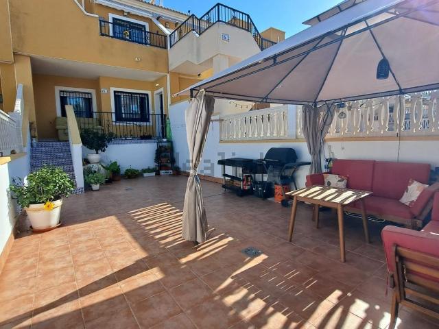 Chalet, Elche / Elx