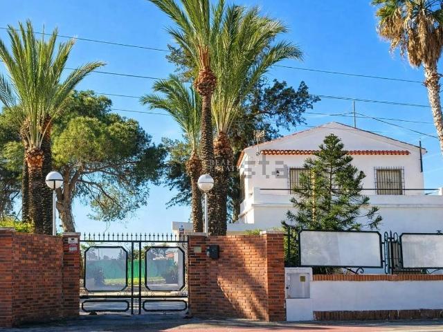 Chalet, Elche / Elx
