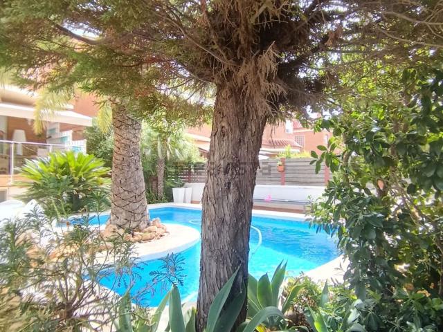 Chalet, Elche / Elx