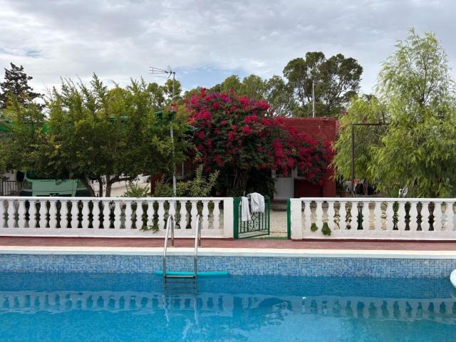 Chalet, Elche / Elx