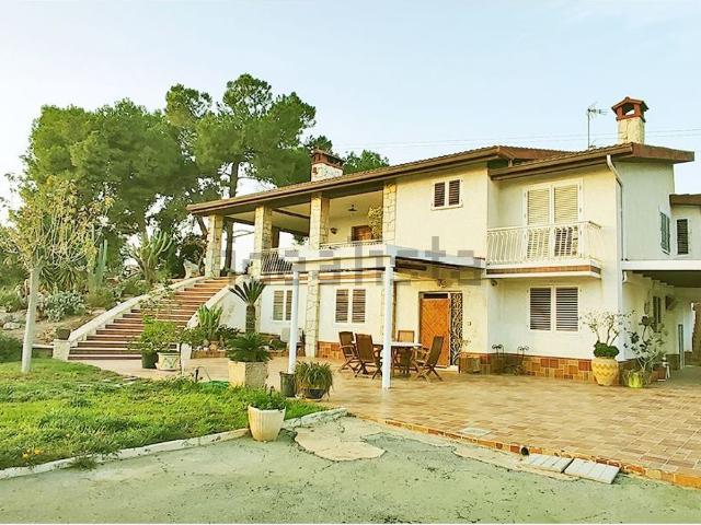 Chalet, Elche / Elx