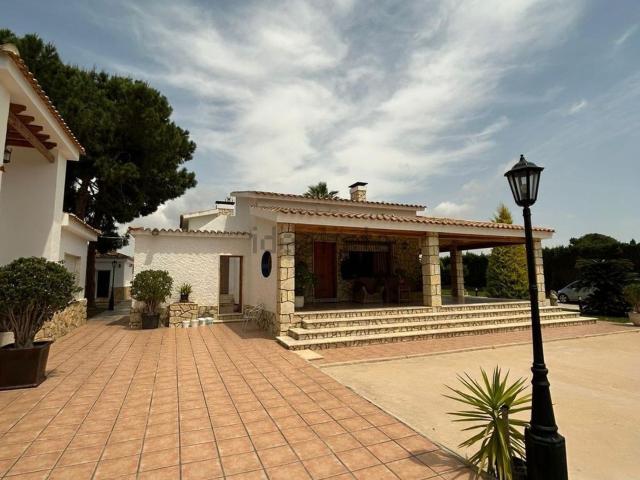 Chalet, Elche / Elx