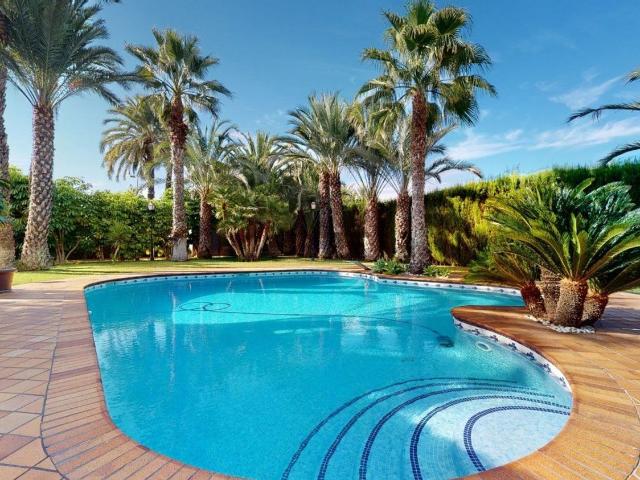 Chalet, Elche / Elx
