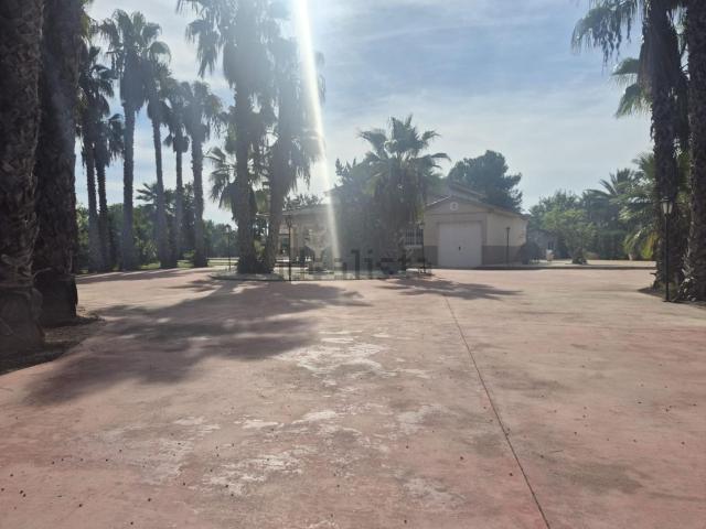 Chalet, Elche / Elx
