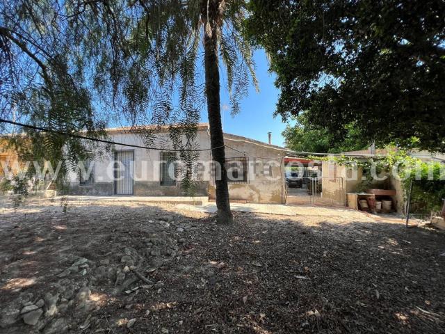 Chalet, Elche / Elx