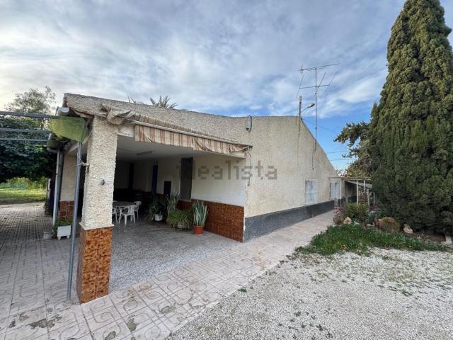 Chalet, Elche / Elx