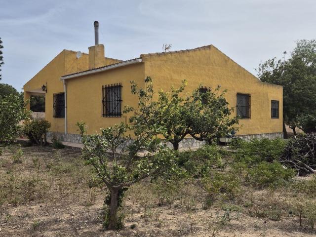 Chalet, Elche / Elx