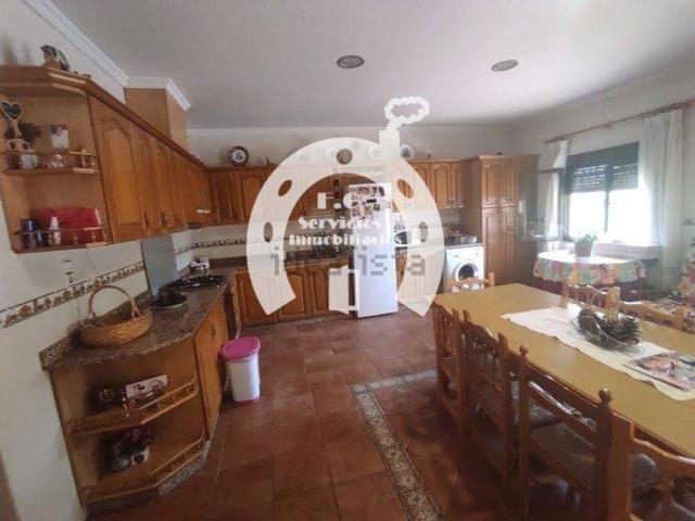 Chalet, Elche / Elx