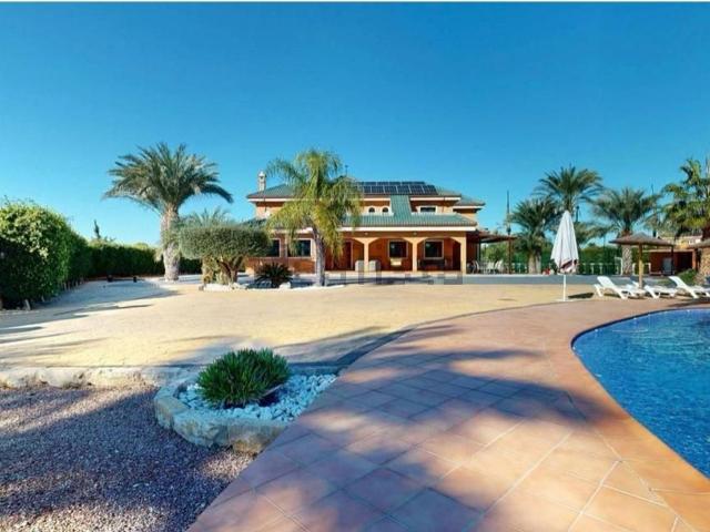 Chalet, Elche / Elx