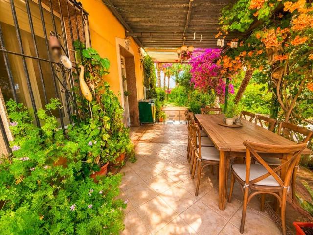 Chalet, Elche / Elx
