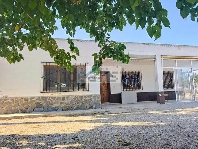 Chalet, Elche / Elx
