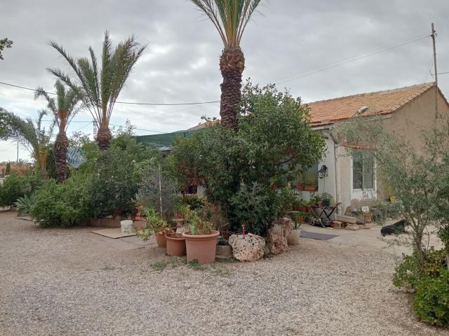 Chalet, Elche / Elx