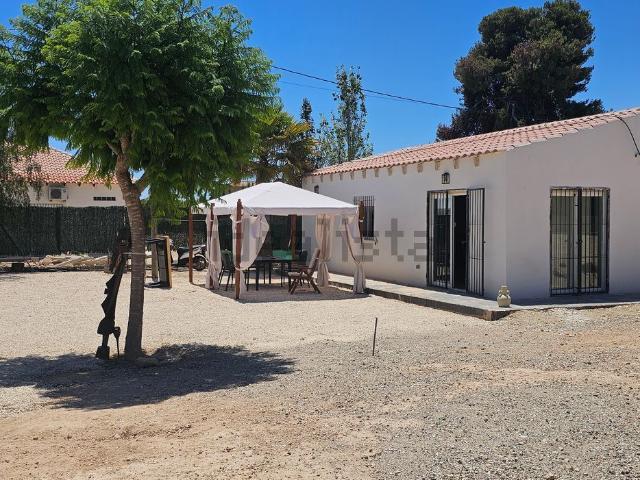 Chalet, Elche / Elx