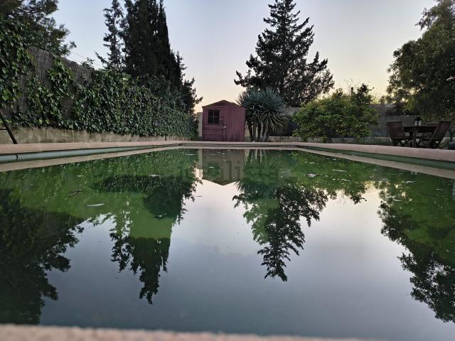Chalet, Elche / Elx