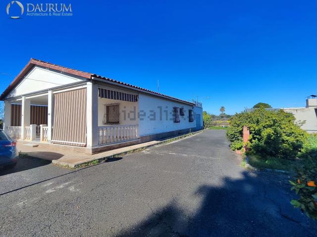 Chalet, Elche / Elx