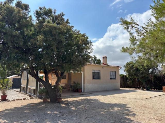 Chalet, Elche / Elx
