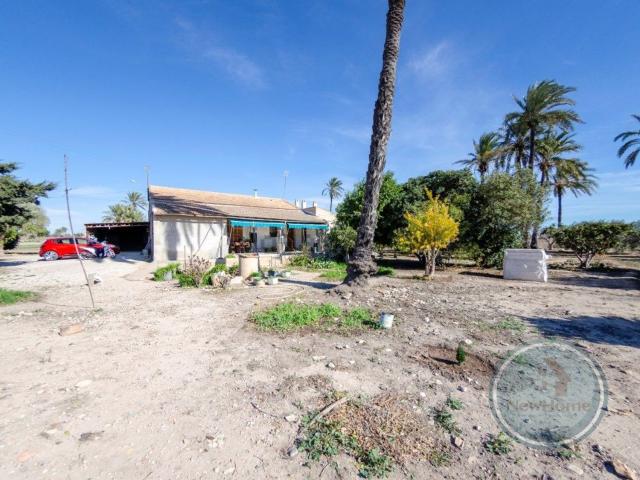 Chalet, Elche / Elx