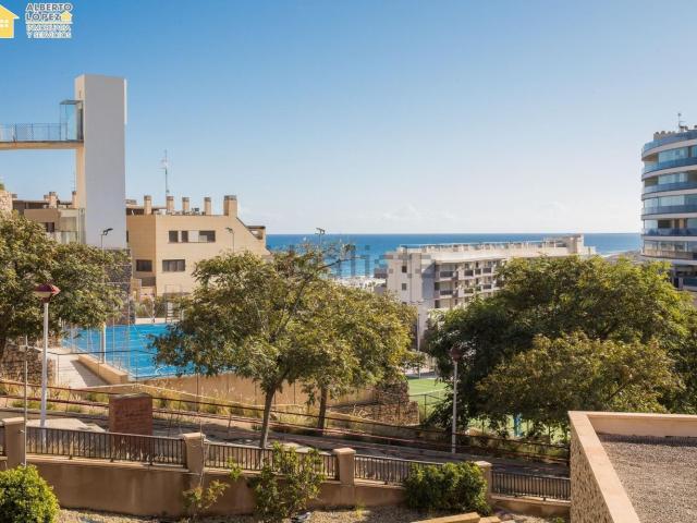 Chalet, Elche / Elx