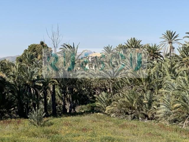 Chalet, Elche / Elx