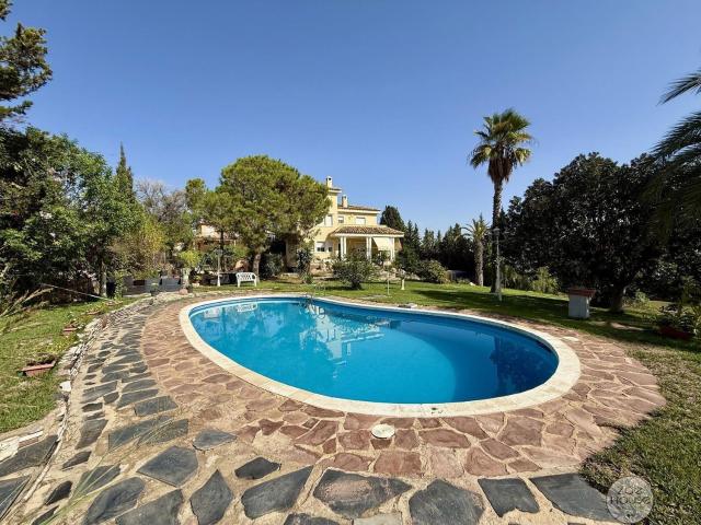 Chalet, Elche / Elx