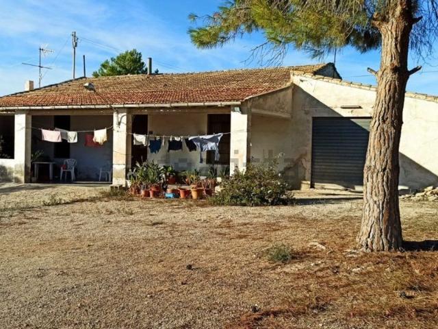 Chalet, Elche / Elx
