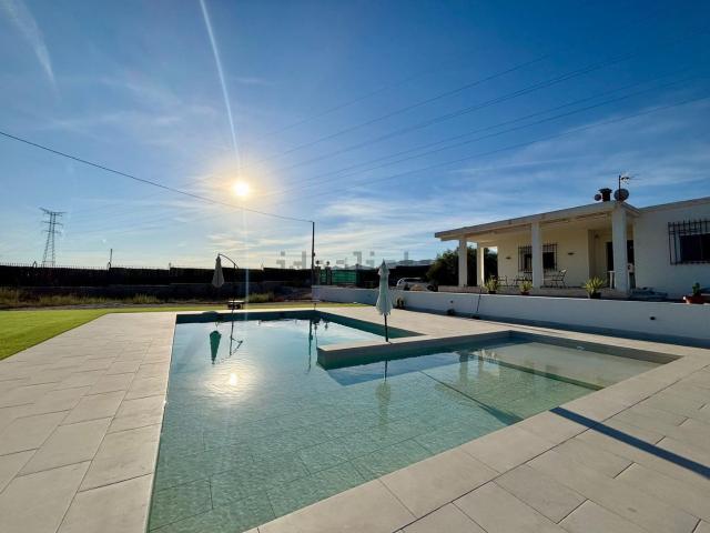 Chalet, Elche / Elx