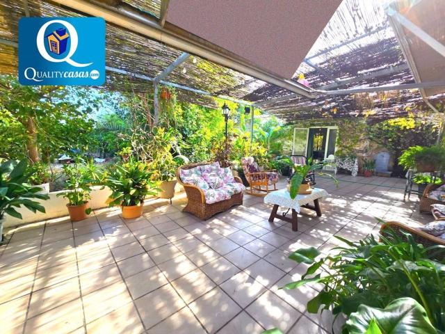 Chalet, Elche / Elx
