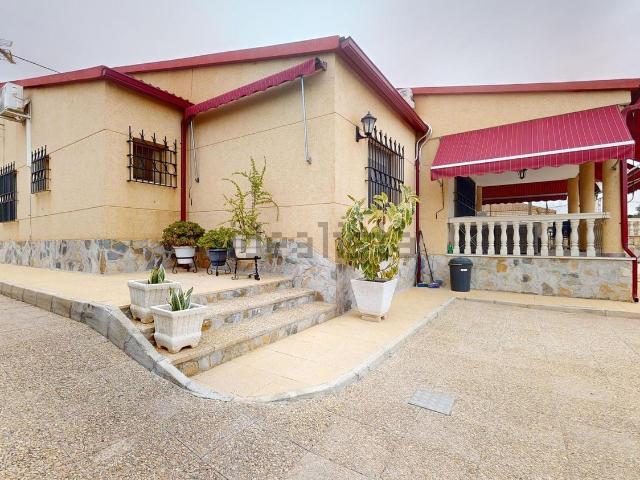 Chalet, Elche / Elx