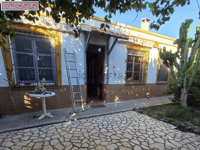 Chalet, Elche / Elx