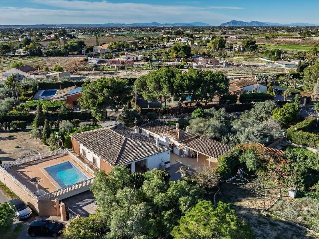 Chalet, Elche / Elx