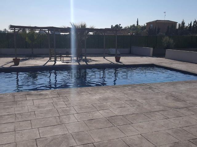 Chalet, Elche / Elx