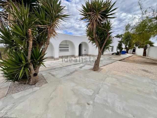 Chalet, Elche / Elx