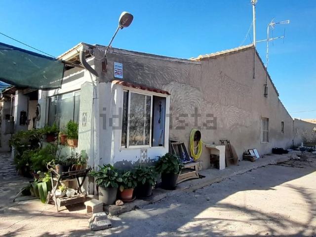 Chalet, Elche / Elx