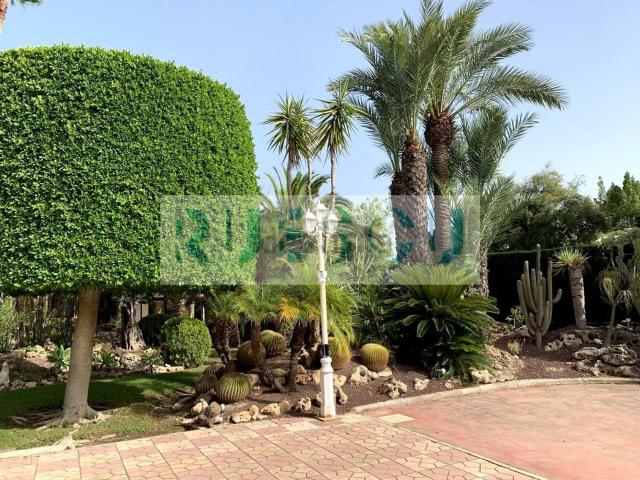 Chalet, Elche / Elx