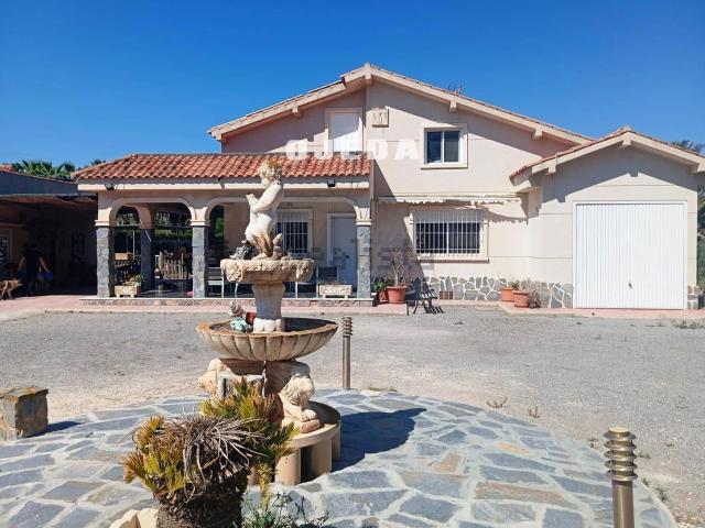Chalet, Elche / Elx
