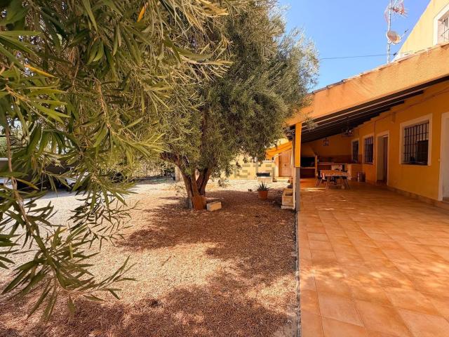 Chalet, Elche / Elx