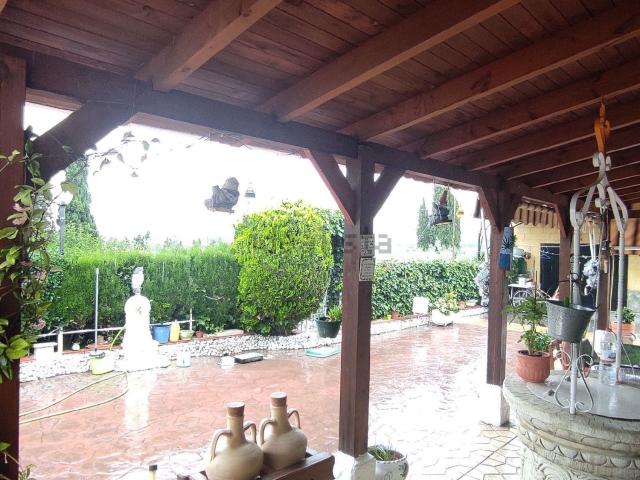 Chalet, Elche / Elx