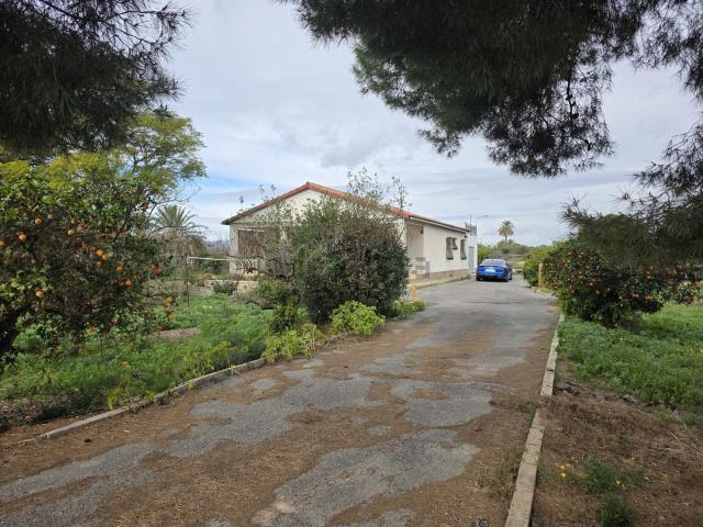 Chalet, Elche / Elx
