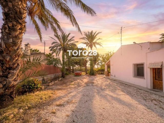 Chalet, Elche / Elx