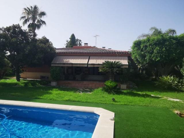 Chalet, Elche / Elx