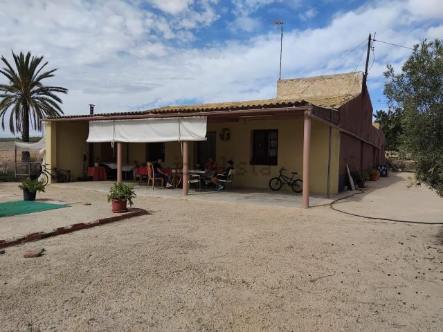 Chalet, Elche / Elx